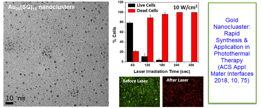 Gold Nanoclusters:  Synthesis and Application in  Photothermal Therapy 